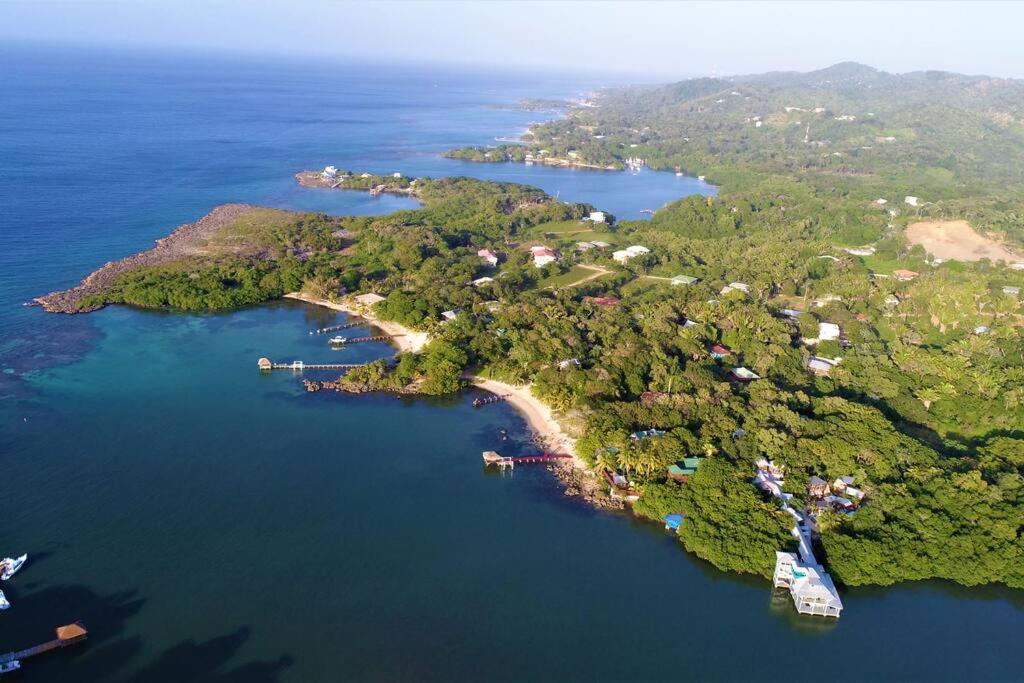 The Dock Resort Over Water Retreat West End Bagian luar foto