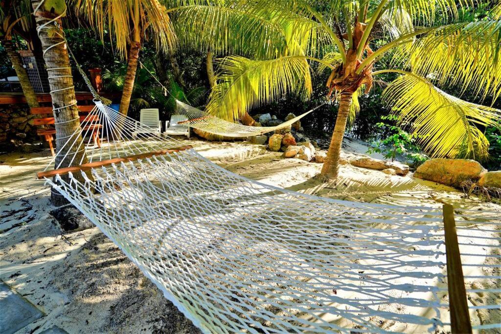 The Dock Resort Over Water Retreat West End Bagian luar foto