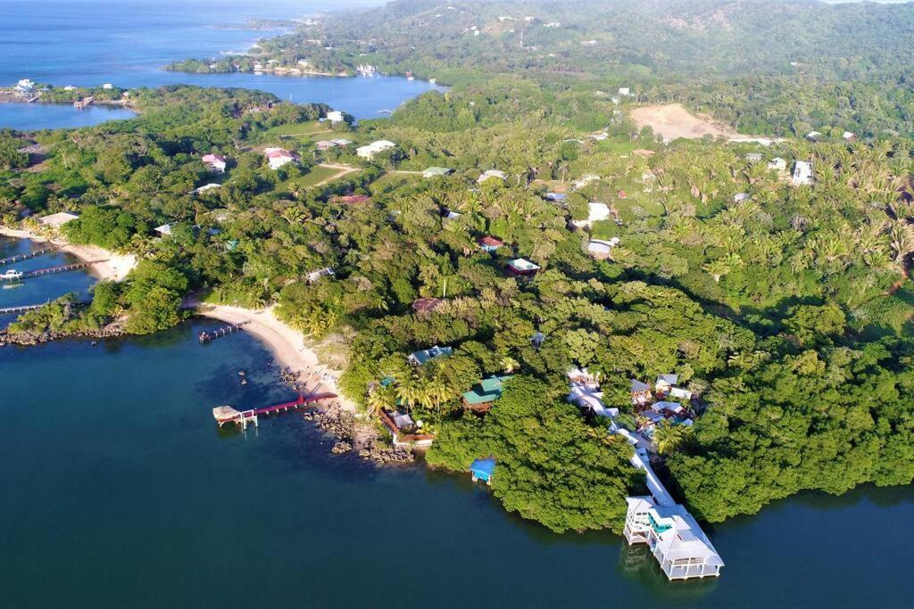 The Dock Resort Over Water Retreat West End Bagian luar foto