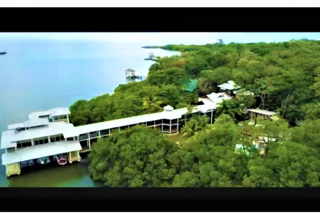 The Dock Resort Over Water Retreat West End Bagian luar foto